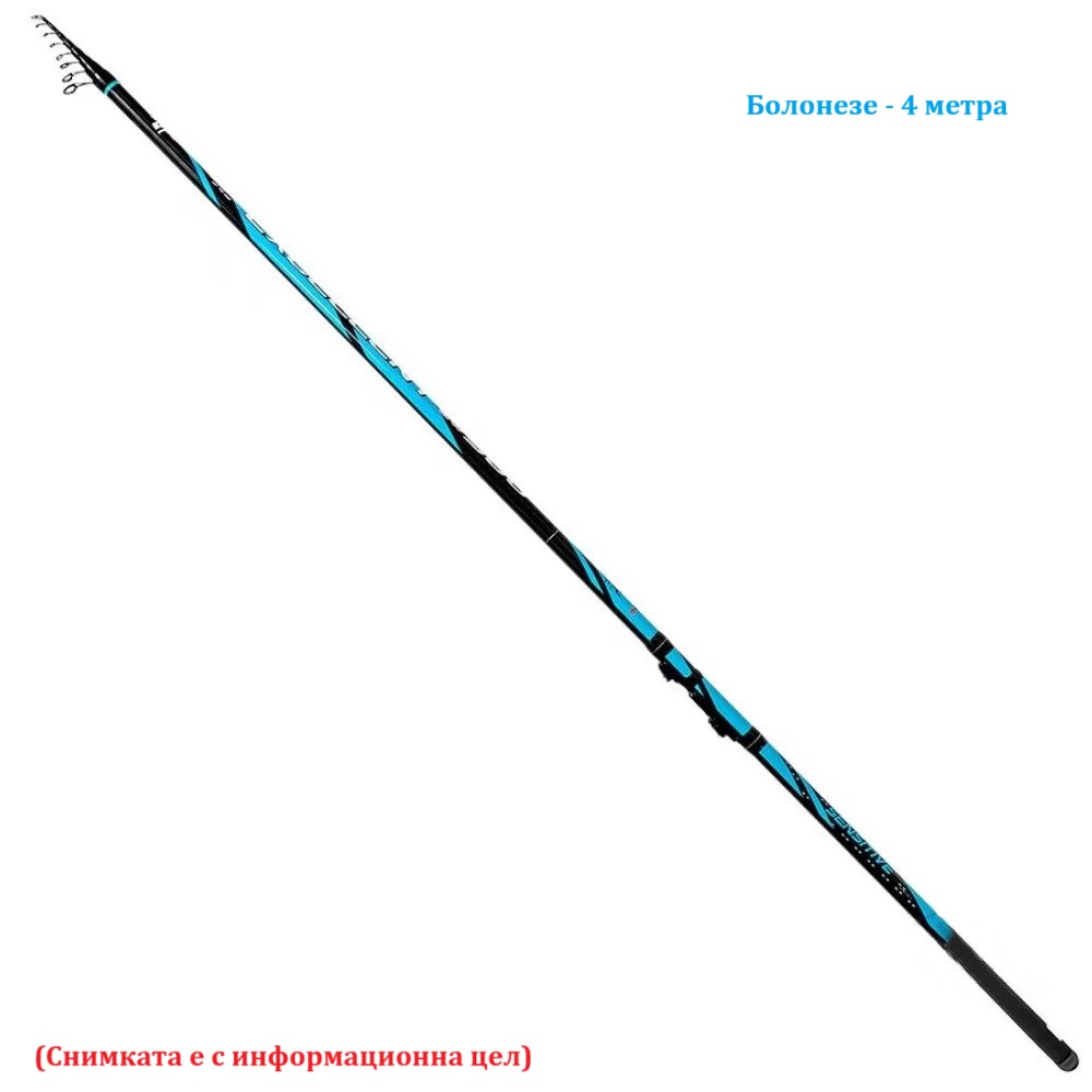 Болонезе 4 метра